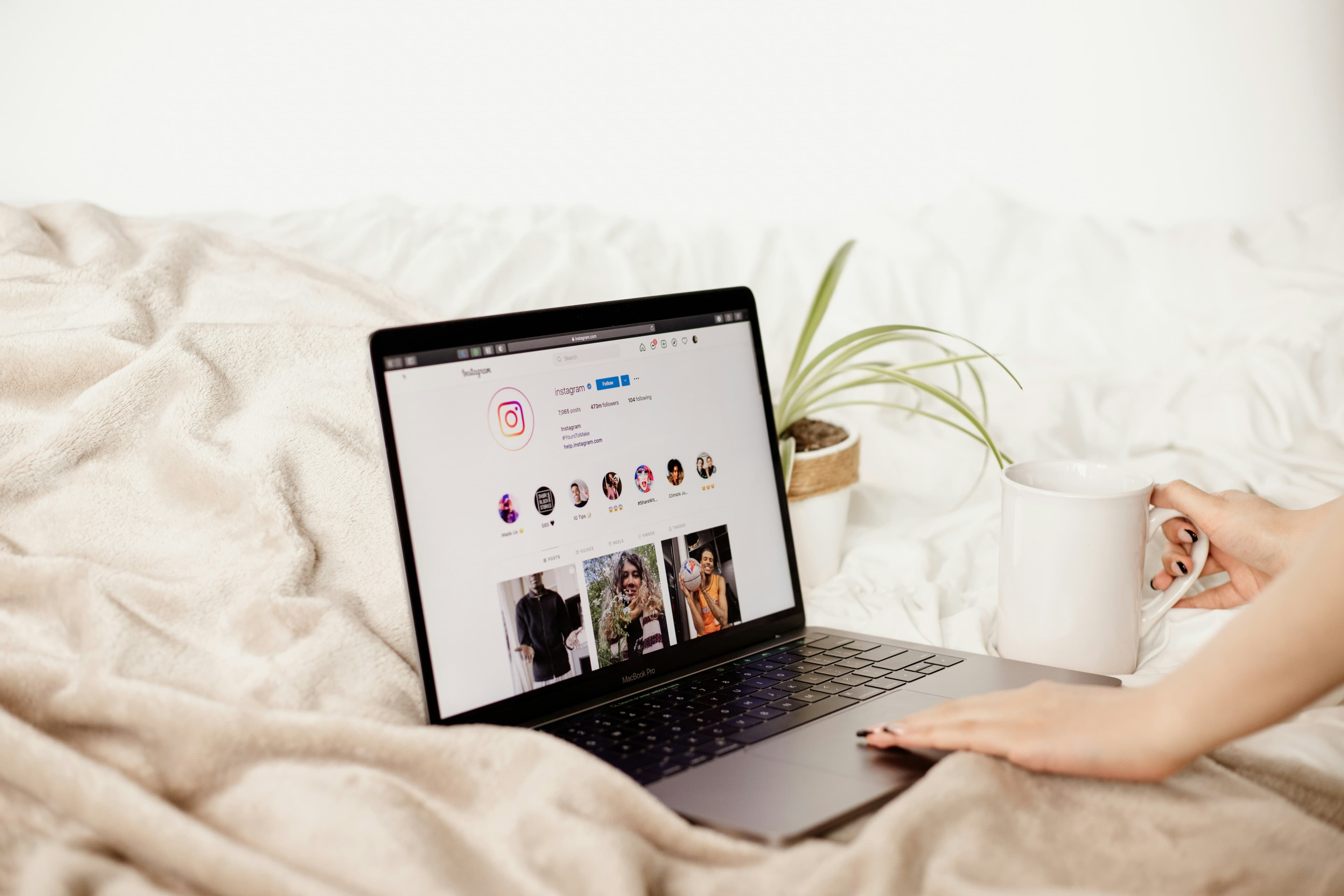 AMP Campaign Hub